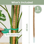 K-Brands 48'' Bendable Moss Pole Monstera Plant Support - Image 2