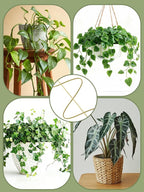 4 Pack Small Wavy Trellis for Potted Plants Indoor, 15 in Garden Trellises for - Image 6
