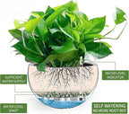 Dexceder 10.5 Inch Large Self Watering Hanging Planters Indoor Outdoor - Image 2