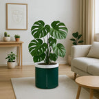 D'vine Dev 10 Inch Design Self Watering Planter - Image 2