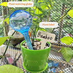Large 12pcs Plant Watering Globes - Image 6