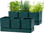 D'vine Dev Herb Garden Planter Set, Plastic Plant Pots by DvineDevPlanterPotsandStand