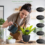 6 Inch Self Watering Pots for Indoor Plants – Small Plastic Planters - Image 4
