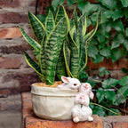 Rabbit Flower Pot Succulent Planter Garden Pots, Bunny Decorative Flower Pot - Image 4