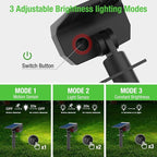 Solar Lights Outdoor Motion Sensor, Spot Landscape Lighting - Image 4