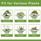 Ceramic Bonsai Pots - Image 7