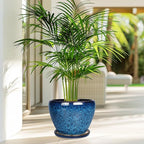 8 Inch Ceramic Plant Pot, Ceramic Planter Pot - Image 7