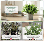 Fake Plants, 5 Pack Small Fake Plants Mini Potted Artificial Eucalyptus - Image 5