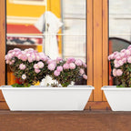 8 Pack 24 Inch Window Planter Box - Image 7