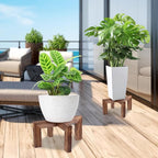 Plant Stand, Indoor/Outdoor Wood Plant Holder, Single Flower Pot Stand - Image 6