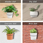 6 Pack 6 Inch Flower Pot Holder Ring, Wall Mounted Metal Planter Hanger - Image 7