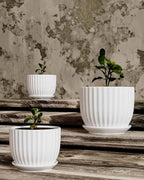 Ton Sin White Plant Pots Set of 3, Indoor Ceramic Flower Pot - Image 4