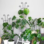 32.6in Monstera Plant Support Stakes - Image 9