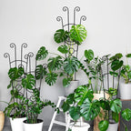 32.6in Monstera Plant Support Stakes - Image 8