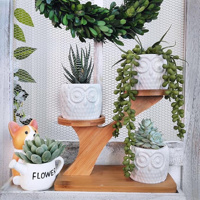 3pcs Owl Succulent Pots with 3 Tier Bamboo Saucers Stand Holder - Image 4