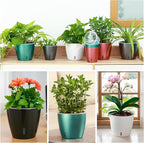Self-Watering Pots for Indoor Plants, Small African Violet Pots - Image 5