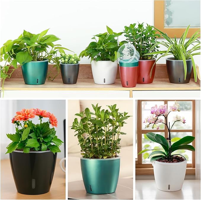 Self Watering Pots for Indoor Plants, Small African Violet Pots - Image 4