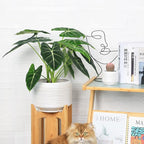 10 Inch Ceramic Plant Pot with Drainage – Large Flower Pot - Image 3