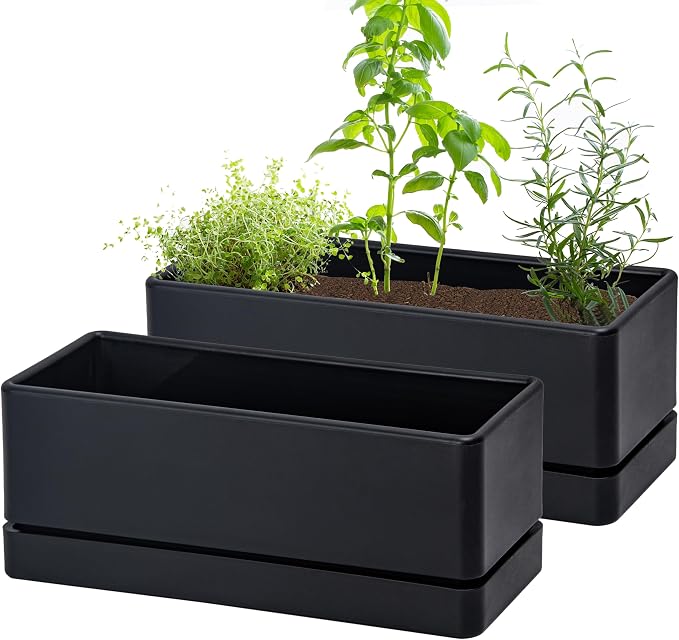 D'vine Dev 12 Inch Window Box Planter, Rectangle Plastic Herb Planter by DvineDevPlanterPotsandStand