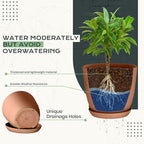 Utopia Home - Plant Pots Indoor - 7/6.6/6/5.3/4.8 Inches Home Decor Flower Pots - Image 3