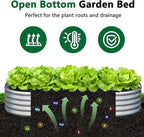 zizin 2 Pack Galvanized Raised Garden Bed Metal Oval Raised Garden Beds Outdoor - Image 3