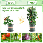 Riare 8 Pack 5.2 FT Tomato Cages - Image 6