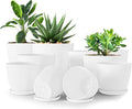 Utopia Home - Plant Pots Indoor - 7/6.6/6/5.3/4.8 Inches Flower Pots by UTOPIAHOME