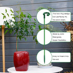 Invisible Plant Sticks 17 inch &11 inch SupKing 16Pcs Orchid Stakes - Image 4