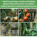 Trellis Netting For Climbing Plants - Image 6