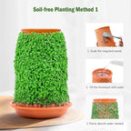 Plant Pots 5.7 Inch Self Watering Planters, Terracotta Pots - Image 3