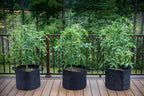 Gardzen 10-Pack 25 Gallon Grow Bags, 300G Thickened Aeration Fabric Pots - Image 8