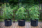 Gardzen 10-Pack 2 Gallon Grow Bags, Aeration Fabric Pots - Image 8