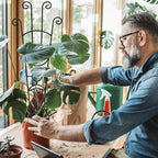 32.6in Monstera Plant Support Stakes - Image 5