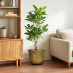 Ceramic Pots for Plants - Image 4