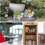 Turtle Succulent Planter, Resin Material, Indoor/Outdoor Use, Cute Decor - Image 6