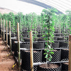 14 Gallon Air Pruning Planters, Plastic Pots - Image 4