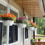T4U Plastic Hanging Baskets 2-Pack - Image 5