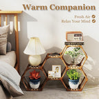 Tikea Plant Stand Indoor Outdoor Hexagonal Corner Plant Stand - Image 4