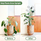 30'' Larger Plant Trellis Indoor, Expandable Metal Trellis - Image 3