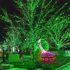 300 LED St Patricks Day Lights, 98.5FT Christmas String Lights - Image 5