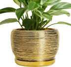 SQOWL Ceramic Flower Pot by SQOWL