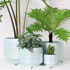 10 Inch Ceramic Plant Pot with Drainage – Large Flower Pot - Image 6