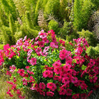 Artificial Flowers for Outdoor, UV Resistant Fake Silk Flowers, Realistic Faux - Image 7