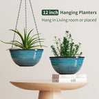 12 inch Large Hanging Planters for Indoor Outdoor Plants, Hanging Baskets for - Image 5