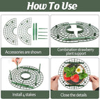 6 Sets Strawberry Plant Support - Image 3