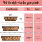 LaLaGreen Wal Planters - Image 4
