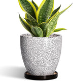 Ceramic Plant Pots by EPFamily