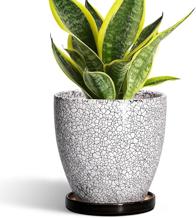 Ceramic Plant Pots by EPFamily