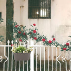 Meltset 3 Pack Metal Iron Hanging Flower Pot, Oval Railing Fence Garden Balcony - Image 7