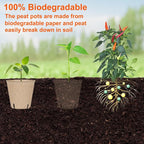 120 Packs 3.15 Inch Peat Pots, Biodegradable Pots - Image 6